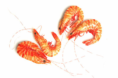 Prawns