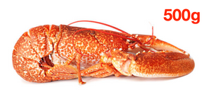 Whole Cooked Lobster ( 500g )