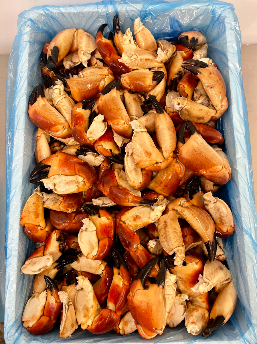 10 kg Cooked Crab Claws (MED) only £195.00 from The Berwick Shellfish ...