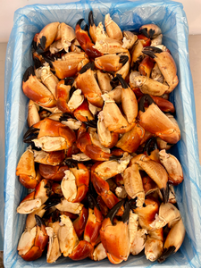 10 kg Cooked Crab Claws (MED)