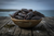 Raw Scottish Lobster Claws (20)