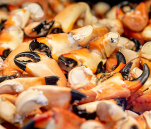 Small Cooked Crab Claws  1kg [FROZEN]  (NEW)