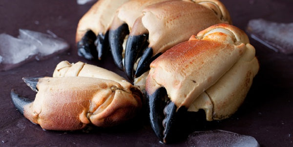 MEDIUM Whole Cooked Crab Claws ( 1 Kg Pack ) only £26.75 from The ...