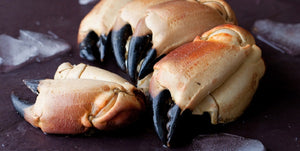 MEDIUM Whole Cooked Crab Claws ( 1 Kg Pack )