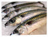 Fresh Line Caught Mackerel ( 1kg )